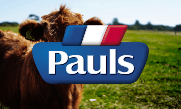 Lactalis International, Division Grand Export Du Groupe Lactalis